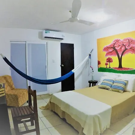 Hotel La Casa Del Arbol